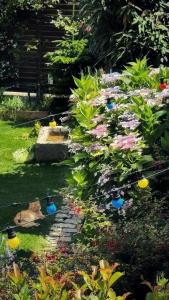 B&B / Chambres d'hotes Maison d'hote Les Allois : photos des chambres