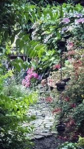 B&B / Chambres d'hotes Maison d'hote Les Allois : photos des chambres