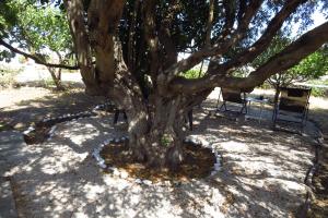 Kypseli House Garden, Trails & Walk to Apollonia