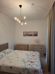 New delux appartement