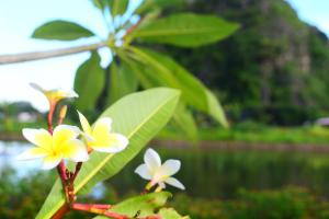 Trang An Ecorest Resort & Spa