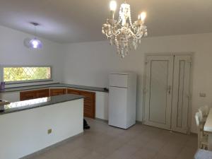 Il Fenicottero Rosa img33