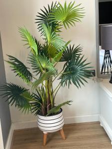 Vibrant City Retreat 6 Mins Walk BTS Nana, 1BR