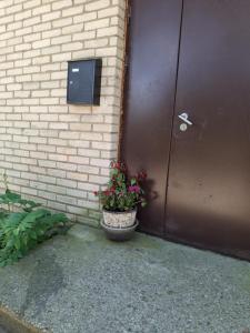 Talsu nov Kolka Kopmītne 1-18