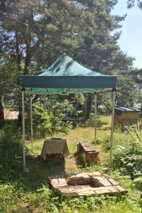 Talsu nov Kolka Kopmītne 1-18