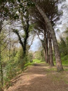 Campings Camping Maureillas : photos des chambres
