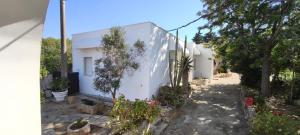 Villeriunite - Villa Ginestra