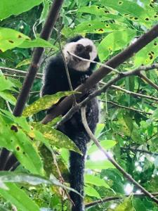 Suite Jenipapo Caraiva