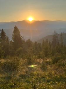 Затишний двір