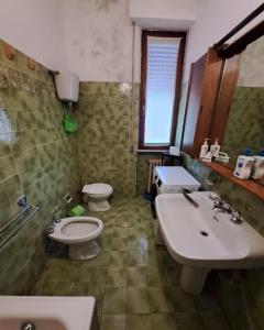 Rinidia - Siena Celso Cittadini Grande