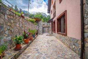 Casa Nicolas Busteni