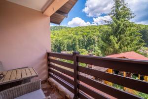 Casa Nicolas Busteni