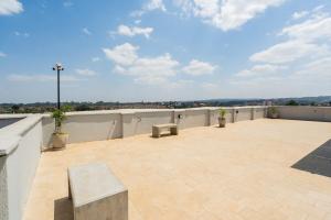 Jurassic Park - Stylish Urban Sanctuary