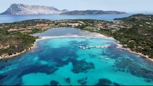 Stella di Coda Cavallo img4