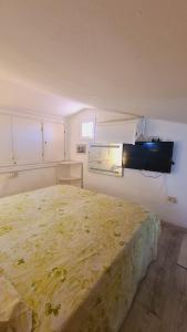 Stella di Coda Cavallo img12