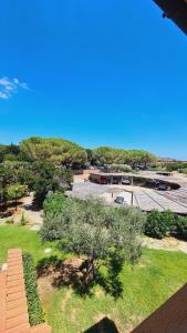 Stella di Coda Cavallo img18