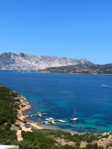 Stella di Coda Cavallo img27