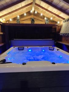 Maisons de vacances Maison familiale avec grand jardin et spa : photos des chambres