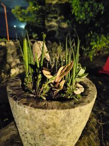 Beachfront Bed & Breakfast