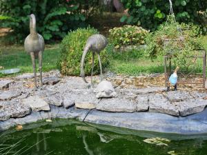 Domaine du lagon bleu