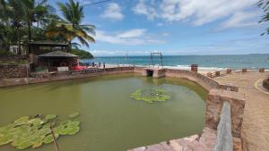 Tour às Ilhas-Salvador