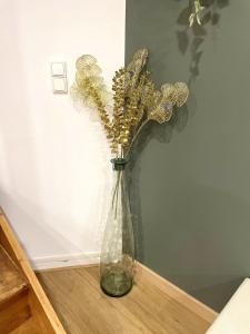 Le Parifou Family home in Riom Puy de Dome