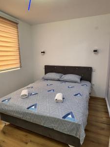 Apartman Tea