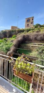 Gioeni 87 Central & Quiet Apartment