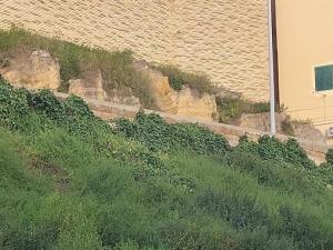 Gioeni 87 Central & Quiet Apartment