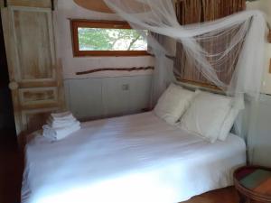 B&B / Chambres d'hotes La cabane de l'oiseau : photos des chambres