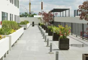 Bonito condominio Zona Real