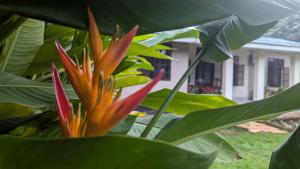 I LOVE AFRICA VILLAs