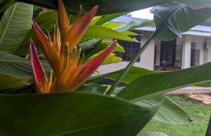 I LOVE AFRICA VILLAs