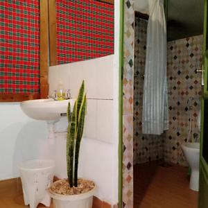 I LOVE AFRICA VILLAs