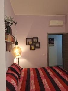 Little Suite Kaidi img12