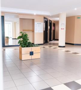Appartements 2 rooms ideal for 4 people - Disneyland & Paris : photos des chambres