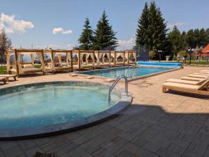 Raccoon Paradise Apartment Residence Hill B19