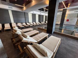 Raccoon Paradise Apartment Residence Hill B19