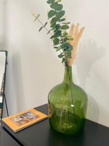 T2 de charme en plein coeur du centre ville