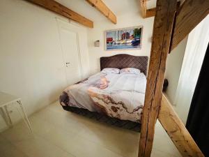Apartamentai senamiestyje Klaipėdos inkarai