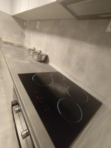 Gigabit High-Speed Internet Modern Apartment