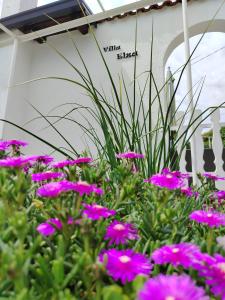 Kuća za odmor Vila Elza