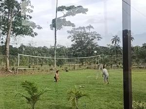 Tropical Crystal House