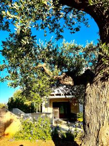 Iannuzzi Casa Vacanze