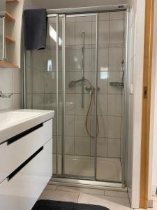 Zentrale Wohnung in ruhiger Lage in Baltschieder