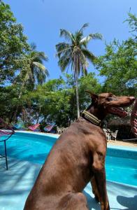 Shalom Backpacker Hostel