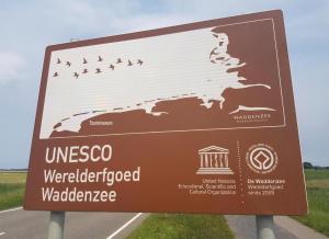 Cozy cottage Tzummarum near the Wadden Sea