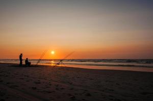 Cozy cottage Tzummarum near the Wadden Sea