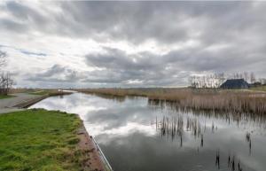 Cozy cottage Tzummarum near the Wadden Sea