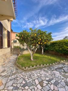 100 meters from the sea